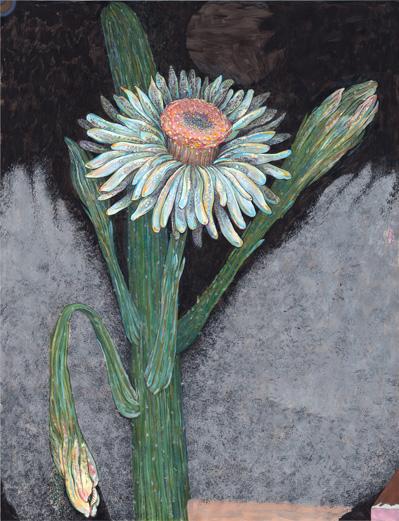 NightFlower3